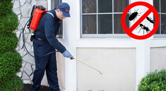 Altıevler Bit İlaçlama böcek ilaçlama ve haşere kontrolü — ilaclama-tr.com